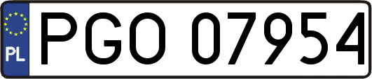 PGO07954