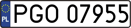 PGO07955
