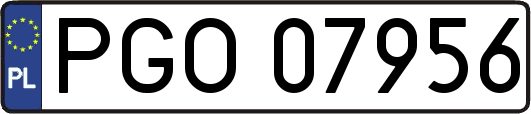 PGO07956