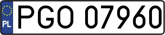 PGO07960