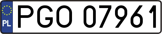 PGO07961