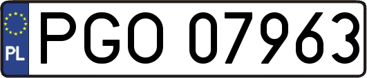 PGO07963