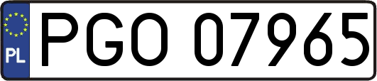 PGO07965