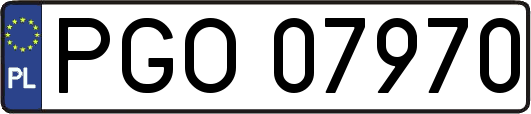 PGO07970