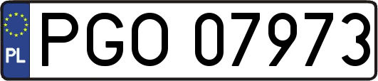 PGO07973