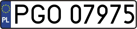 PGO07975