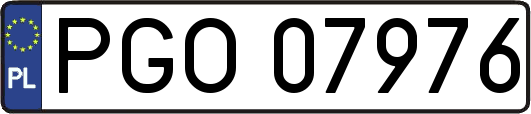 PGO07976