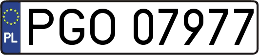 PGO07977