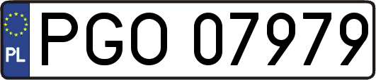 PGO07979