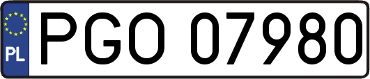 PGO07980