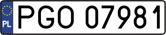 PGO07981