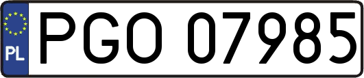 PGO07985