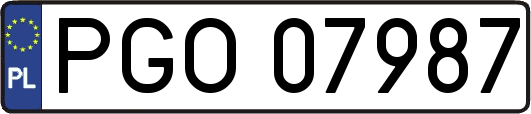 PGO07987