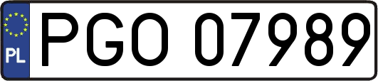 PGO07989