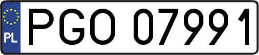 PGO07991