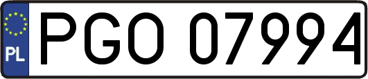 PGO07994