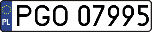 PGO07995