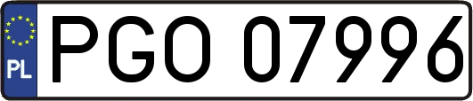 PGO07996