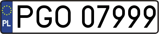 PGO07999