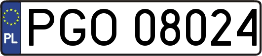PGO08024