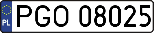 PGO08025