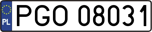 PGO08031