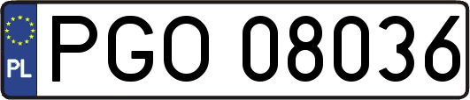 PGO08036