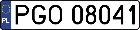 PGO08041