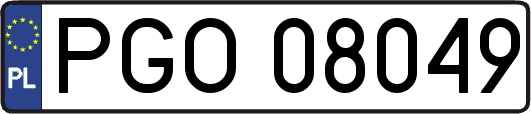 PGO08049