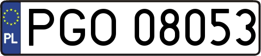 PGO08053
