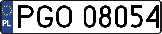 PGO08054