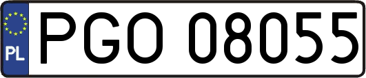 PGO08055