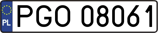PGO08061