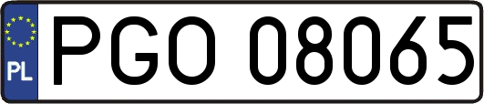 PGO08065