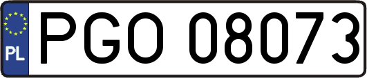 PGO08073