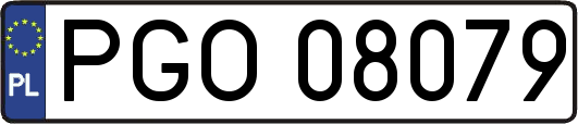 PGO08079
