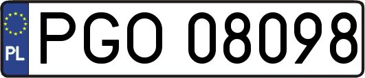 PGO08098