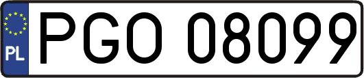 PGO08099