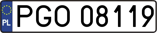 PGO08119
