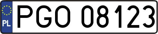 PGO08123