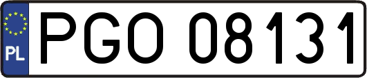 PGO08131