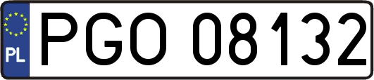 PGO08132