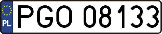 PGO08133
