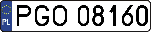 PGO08160