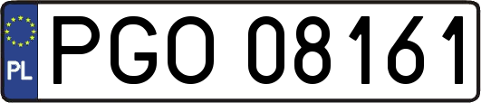 PGO08161