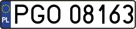 PGO08163