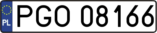 PGO08166