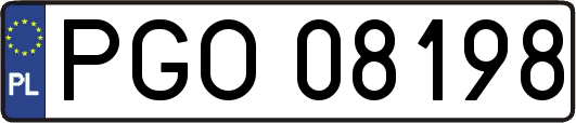 PGO08198