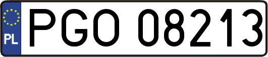 PGO08213