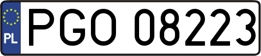 PGO08223
